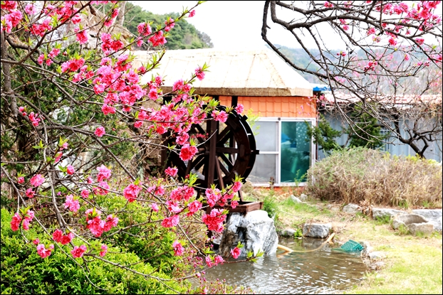 �ݻ걺 ���� ������ �����